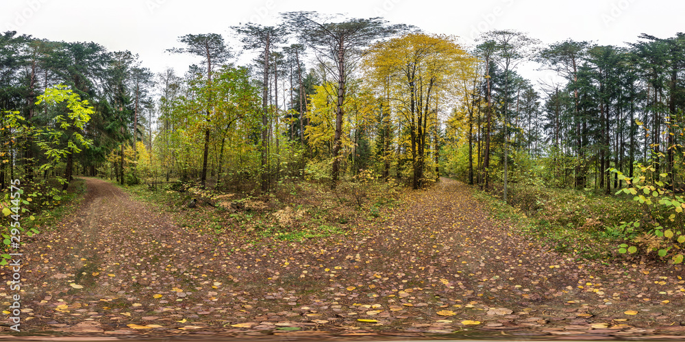 Wall mural full seamless spherical hdri panorama 360 degrees angle view on pedestrian road in autumn forest in 
