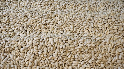 fresh nuts from market in skopje