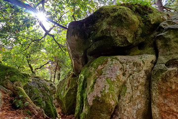 climbing rocks in Denecourt  hiking path 11. Fontainebleau forest