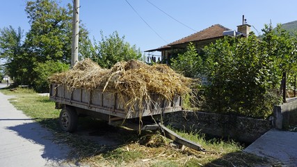 Fototapeta na wymiar Agriculture in small Village near Skopje