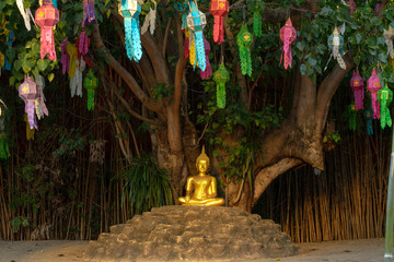 Buddha statue under tree at Wat Phan Tao, Chiang Mai, Thailand