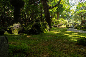 path in the japanese garden.
