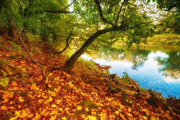 Beautiful autumn landscape