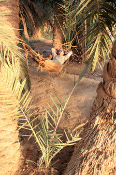 Man lying in a hammock between date palms on Fatna Island at Siwa Oasis, Egypt