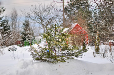 Decorated with toys and tinsel Christmas tree on the street on a winter snowy day