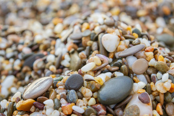 Sea stones on the seashore in the summer