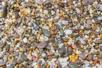 Sea stones on the seashore in the summer