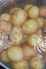 New potatoes boil in their skins in a saucepan