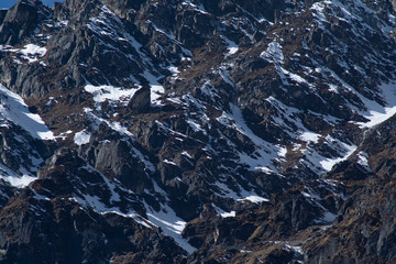 Texture of rock mountain with snow and shadow