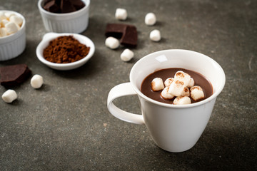 hot chocolate with marshmallows