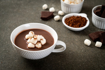 hot chocolate with marshmallows