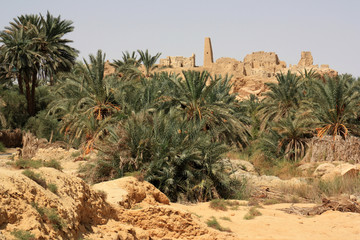 Temple of the Oracle of Ammon to Gebel el-Dakrour in Siwa, Egypt