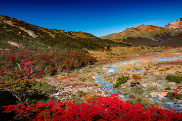 Panoramic view of magical colorful fairytale forest at Tierra del Fuego National Park in Patagonia,...