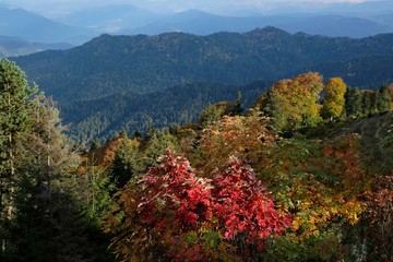 View around peak Lomis Mta in Borjomi-Kharagauli National Park, Georgia. Amazing autumn colours in evening sunlight.