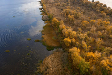 Beautiful natural scenery of river with beautiful autumn trees aerial view drone shot