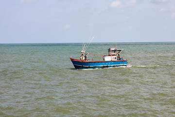 Fischerboote und Fisch im Hafen von Negombo, Sri Lanka