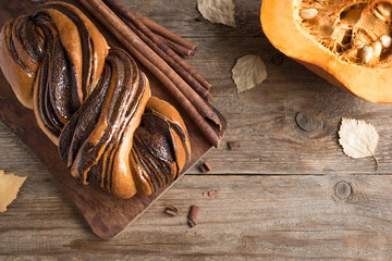 Cinnamon Babka or Brioche Bread