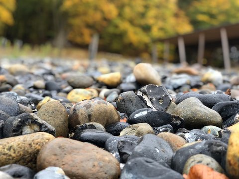 stones on the beach