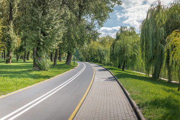 Naklejka premium Bike path in the park with green grass and trees. Beautiful summer landscape.