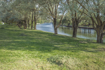 Fototapeta na wymiar Park along river and green trees. Beautiful landscape.
