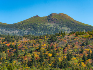 八甲田山 紅葉 登山