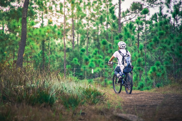 Fototapeta na wymiar Cyclist riding a mountain bike on a countryside road in forest .