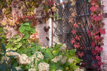 Outer greenhouse created by generous nature