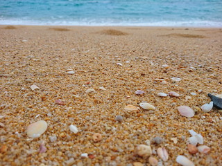 Fototapeta na wymiar Sand and Shells on Andaman Beach
