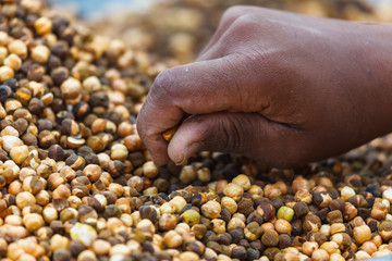 Spiced Chickpeas in India