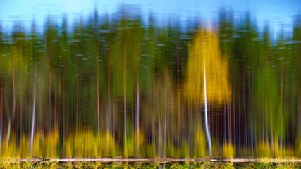 Inverted picture. View of reflection of autumn forest in water.