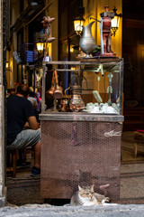 Istanbul, Turkey: a kiosk with traditional samovar for the sale of tea and a cat inside the Cicek Pasaji, the Flower Passage, a historic gallery on Istiklal Caddesi, famous avenue of the city