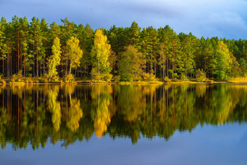 Fototapeta na wymiar Latvian nature. Kangari lake in forest. Reflection in water.