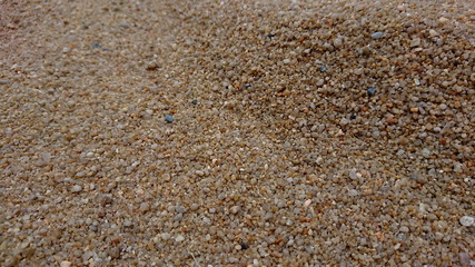Sand and Shells on Andaman Beach