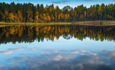 Obraz premium Latvian nature. Kangari lake in forest. Reflection in water.