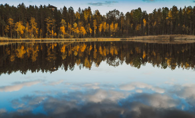 Latvian  nature. Kangari lake in forest. Reflection in water.
