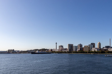 Fototapeta premium 横浜みなとみらいエリアのビル群