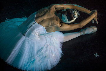 A prima ballerina in the role of "Odette" in the scene of the ballet "Swan Lake" performs at the theater stage