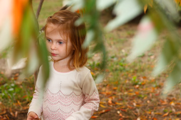 Adorable baby girl playing in a sunny park under a tree with yellow leaves, hiding behind tree