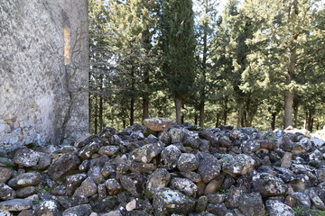 stones in forest