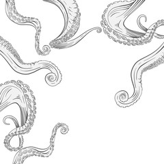 octopus tentacle. Hand drawn vector. isolated on white background.