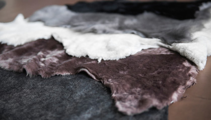 Fototapeta premium Solid fur pieces of different colors for use in sewing warm and comfortable shoes at a shoe factory.