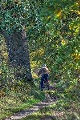 riding near an old oak, autumn bicycle trip among fields and forests