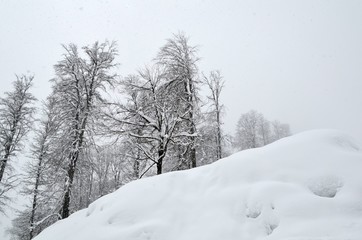 Winter landscape in the mountains of the Caucasus. Snowing.