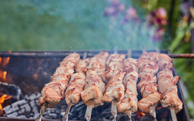 meat on skewers is roasted on a fire