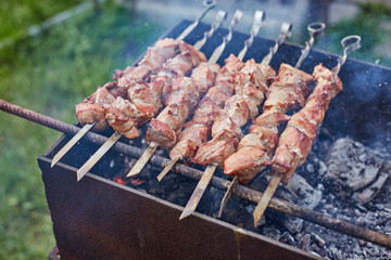 meat on skewers is roasted on a fire