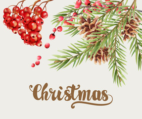 Christmas greeting card with red berries, conifer cone and fir leaves. Place for text. Vector