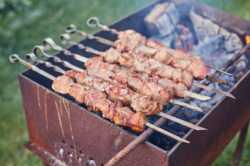 meat on skewers is roasted on a fire
