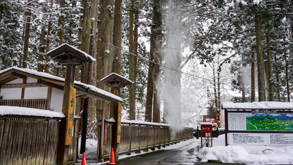 Fototapeta premium 雲洞庵入り口の杉から雪が落ちたところ
