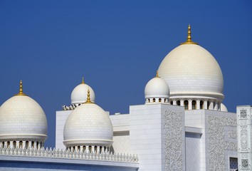 sheikh zayed mosque in abu dhabi