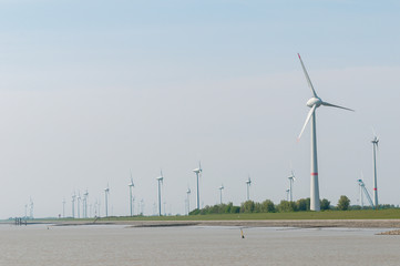 Windkraft an der Nordsee